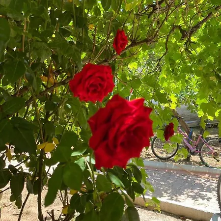 A New House With Garden In Center Apartment Antalya